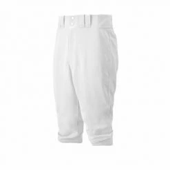 Pants/Shorts Mizuno Youth Premium Short Pant: 350312