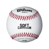 Wilson Sporting Goods Wilson A1217 Soft Compression Level 1 Baseball (Dozen): WTA1217B