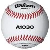 Wilson Sporting Goods Wilson A1030B High School Practice Baseball Raised Seams (Dozen)