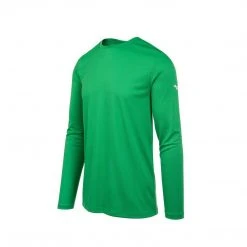 Mizuno Men’s Long Sleeve T-Shirt: 530063