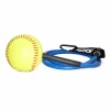 Rawlings Training Aids Worth Fastpitch Experts Resistance Softball: RESISTSB
