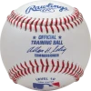 Rawlings Training Baseball Level 10 (Dozen): ROTB10