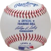 Rawlings Training Baseball Level 5 (Dozen): ROTB5 Baseballs
