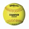 Wilson Sporting Goods Wilson A9011 NFHS Polycore Fastpitch Softball 12 Inch: One Dozen